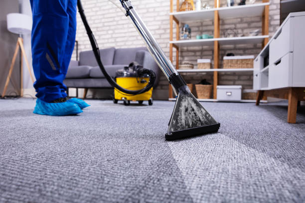 Steam Carpet Cleaning for Deep Dirt Removal